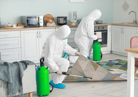 Disinfection