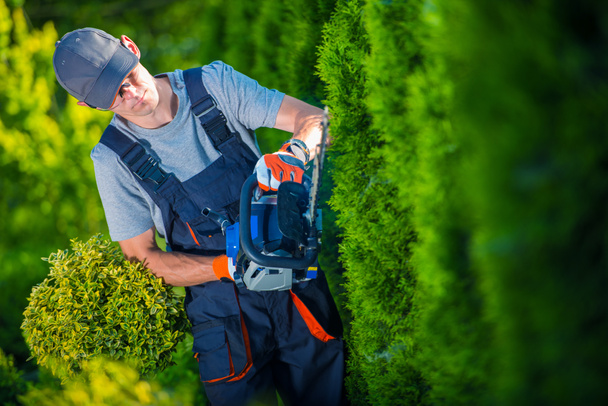 Gardener